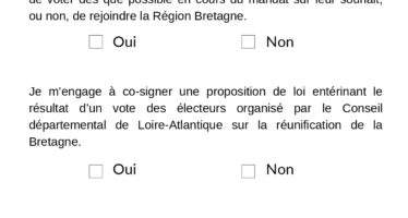 Législatives : au second tour, À la bretonne appelle à refuser l’extrême droite et remercie les candidats engagés